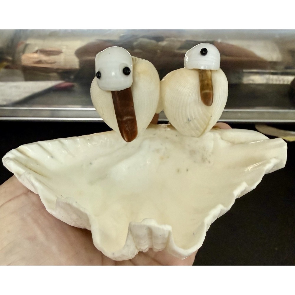 Vtg Real Sea Shell Candy Dish Trinket Holder Nautical Beach Cottage Pelican Boho